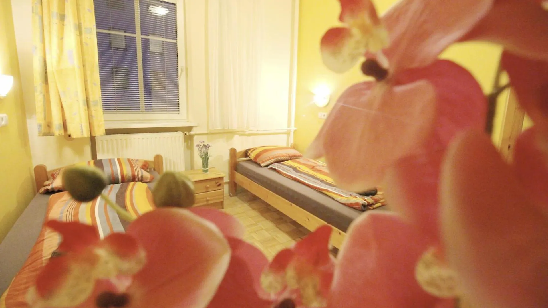 Double Room In Hutteldorfer Strasse Area Vienna Homestay