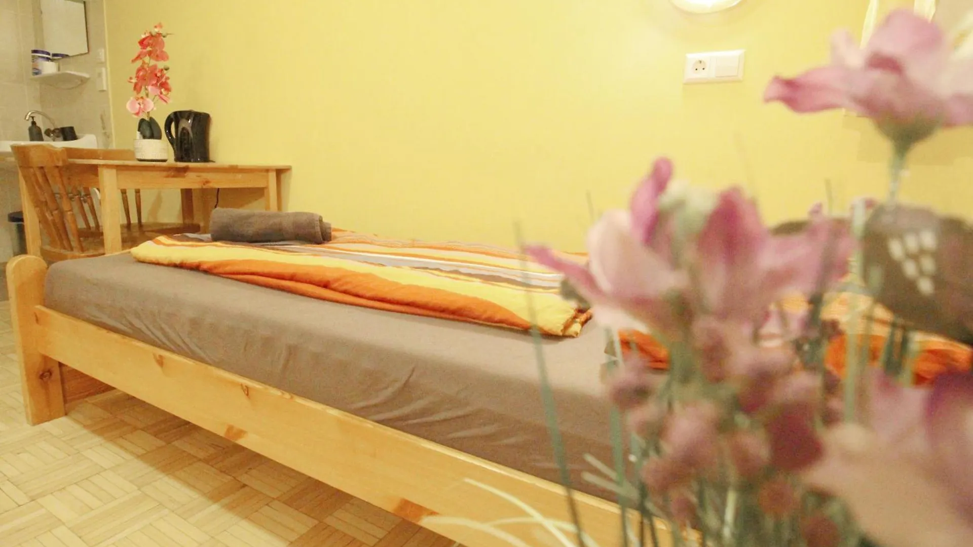 Double Room In Hutteldorfer Strasse Area Vienna Homestay