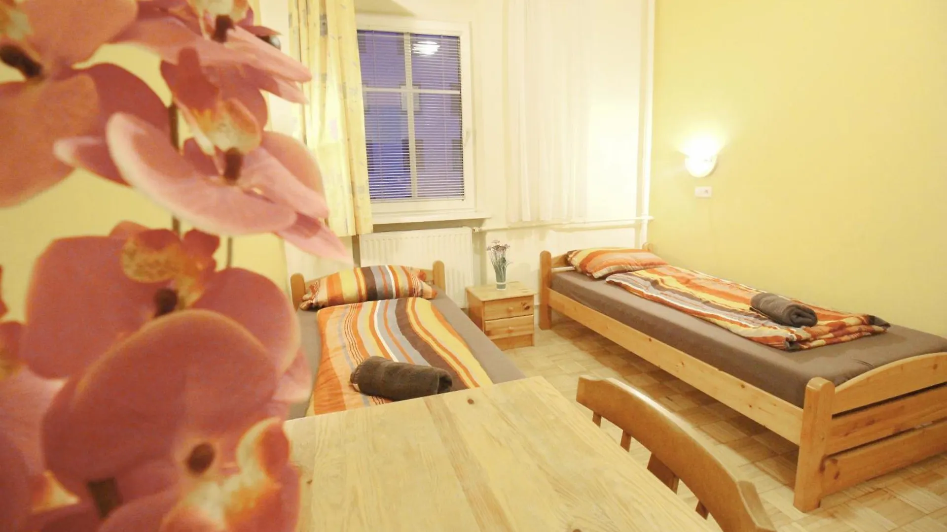 Homestay Double Room In Hutteldorfer Strasse Area Vienna Austria
