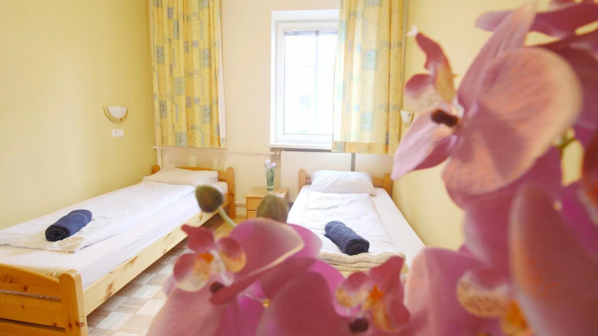 Homestay Double Room In Hutteldorfer Strasse Area Vienna